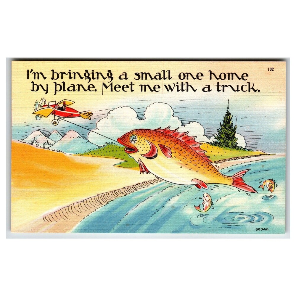 Vintage Linen Comic Postcard Fish Towed by Plane 1950s Asheville NC